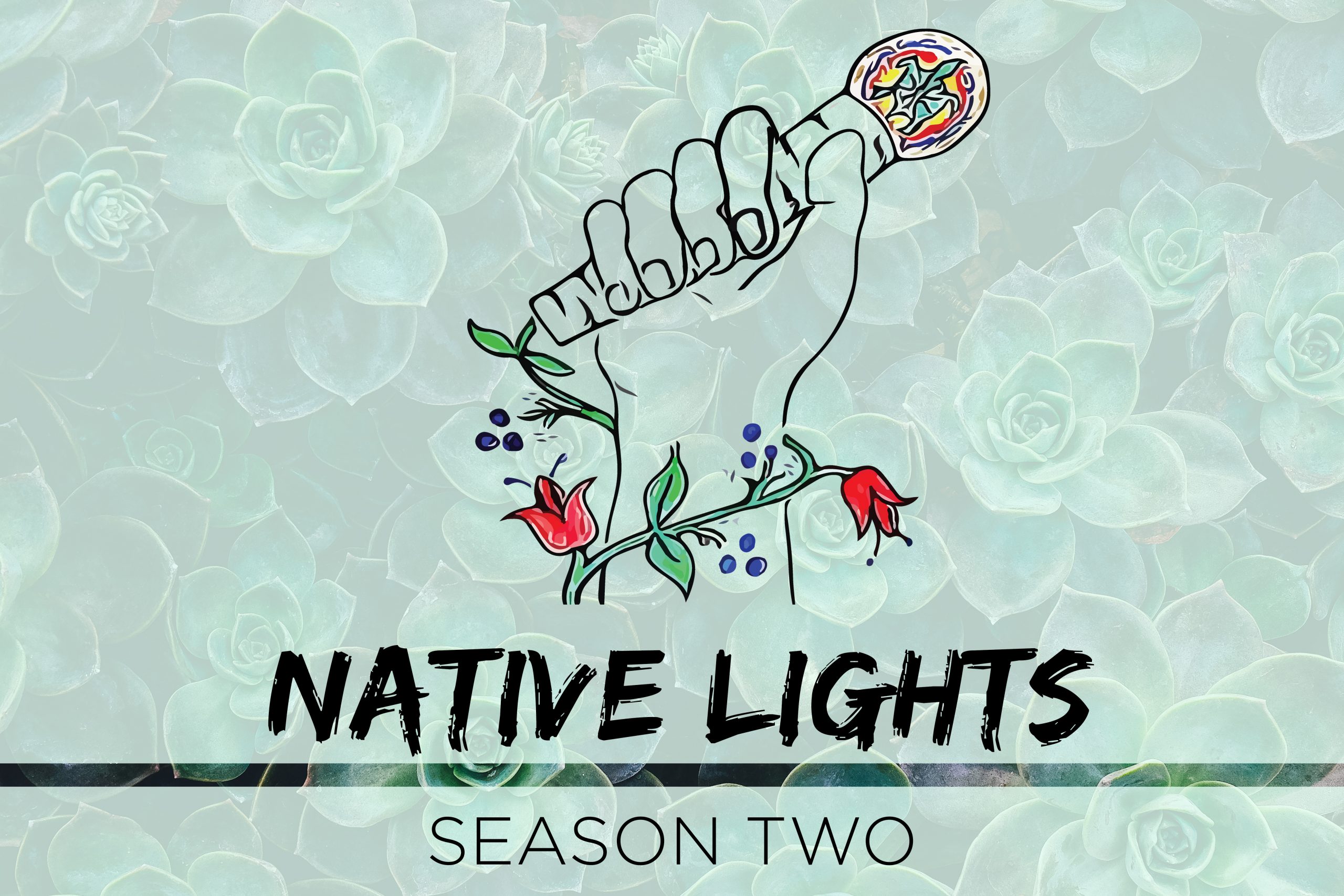 Listen to Native Lights Season 2 - Minnesota Native News